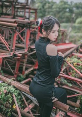 退休警察